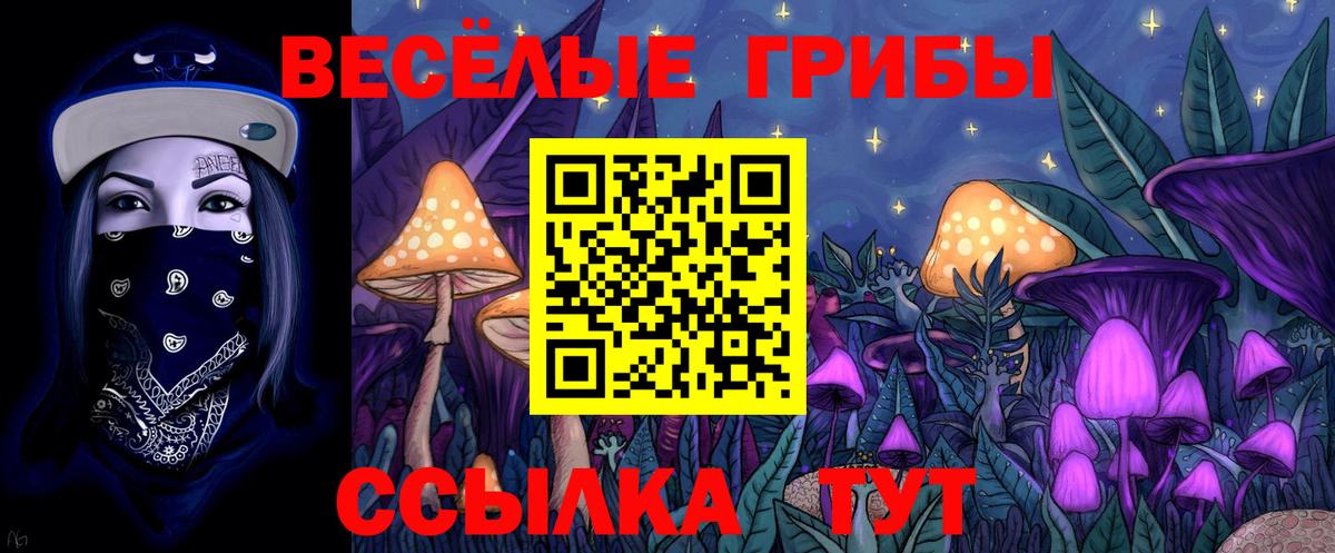 Галлюциногенные грибы Cubensis  Вход с VPN  Галлюциногенные грибы GOLDEN TEACHER  Александров 